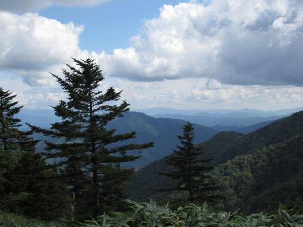 登山道
